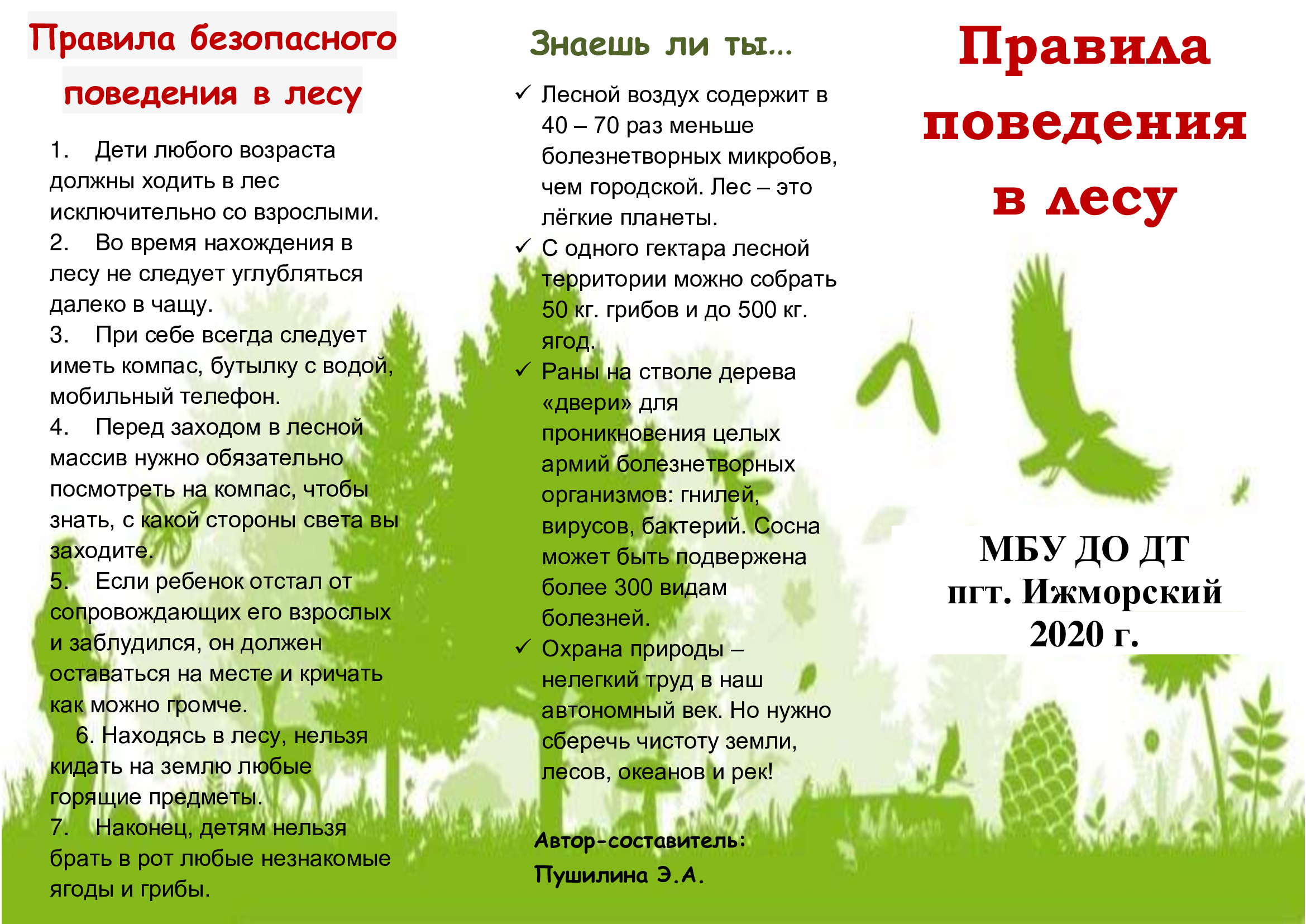 Листовка Международный день леса